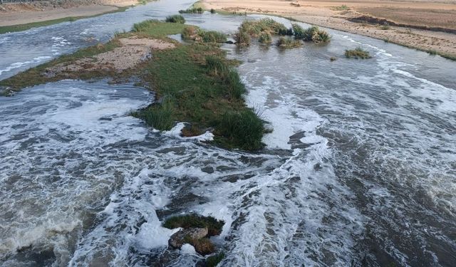 ‘Dicle Nehri’nde kirlilik’ haberimiz ses getirdi: Yakından takip ediyoruz!