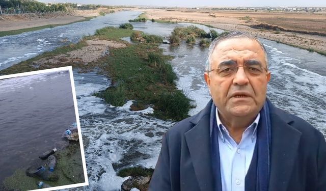 Tarıkulu’dan Dicle Nehri çağrısı: Etkin denetim yapılsın