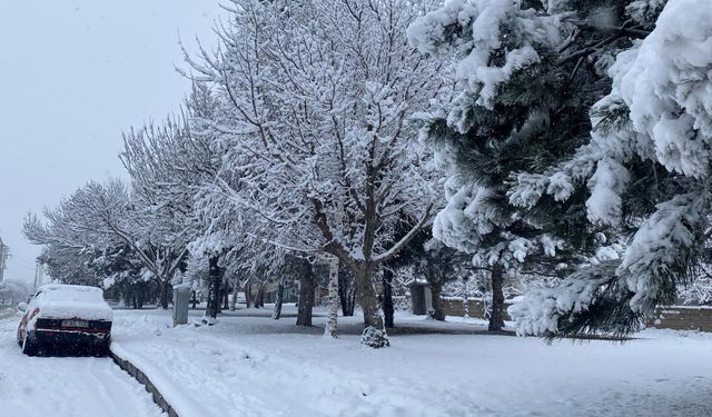 Meteorolojiden Diyarbakır'a uyarı: Kar, don ve buzlanma geliyor