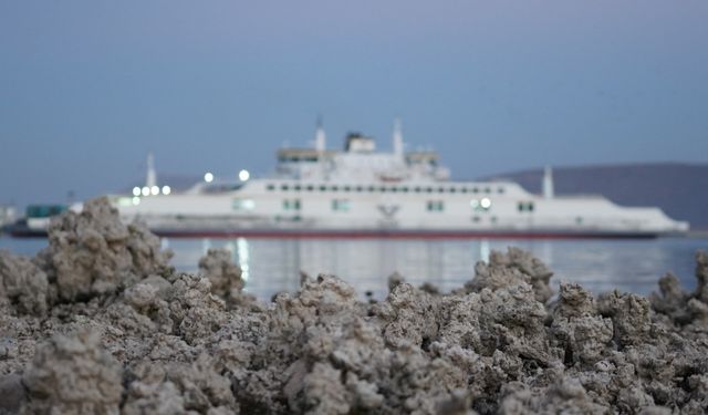 Van Gölü’nde mikrobiyolitler gün yüzüne çıktı