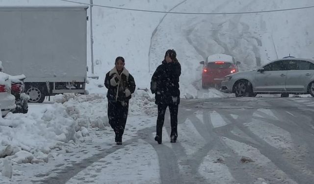 Hakkari yoğun kara teslim oldu