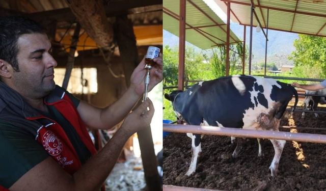 Muğla'da 11 mahalle karantinaya alındı