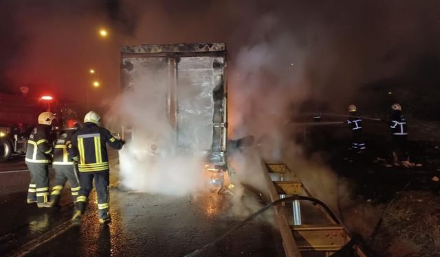Şanlıurfa'da beyaz eşya yüklü tır alev aldı