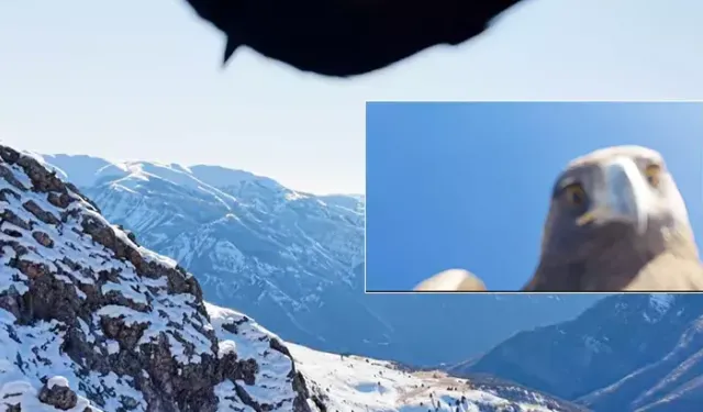 Kartal dronu havada kapıp, dağın zirvesine bıraktı