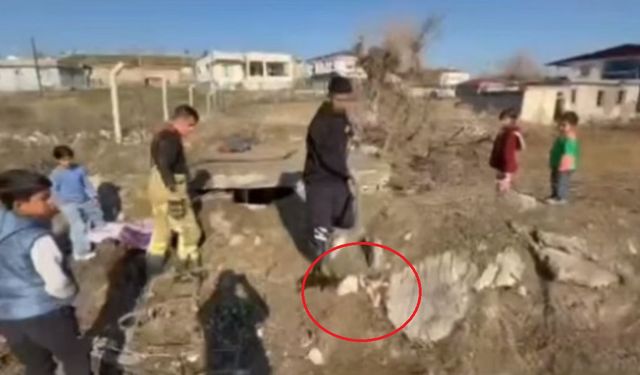 Diyarbakır’da su kuyusuna düşen yavru köpekler kurtarıldı