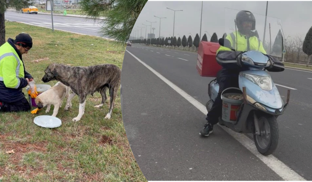‘Sokak canları besleme aracı’ ile Diyarbakır’da sevgi dağıtıyor