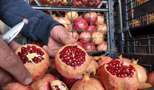 Kuraklık Zivzik narını da vurdu