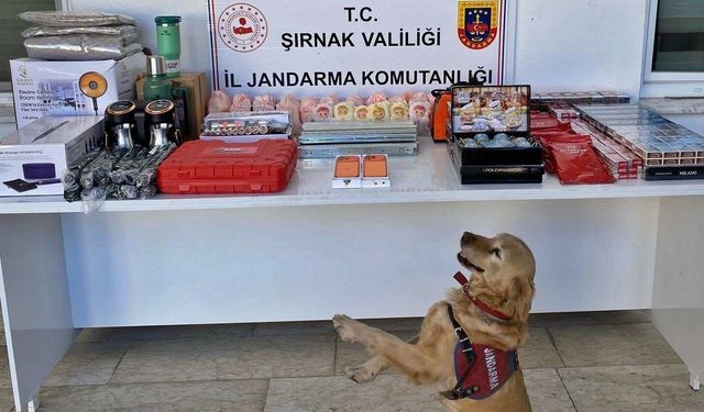 Şırnak'ta kaçakçılık, asayiş ve narkotik operasyonları: Çok sayıda gözaltı