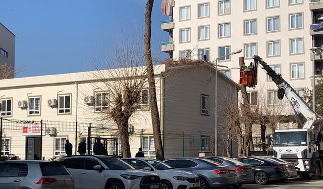 Diyarbakır’da fıkra gibi olay! Kesilen Ağaç kurum binasının çatısına düştü