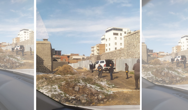 Yayınımız ses getirdi: Hasırlı Mahallesi’nde başıboş köpekler toplatıldı