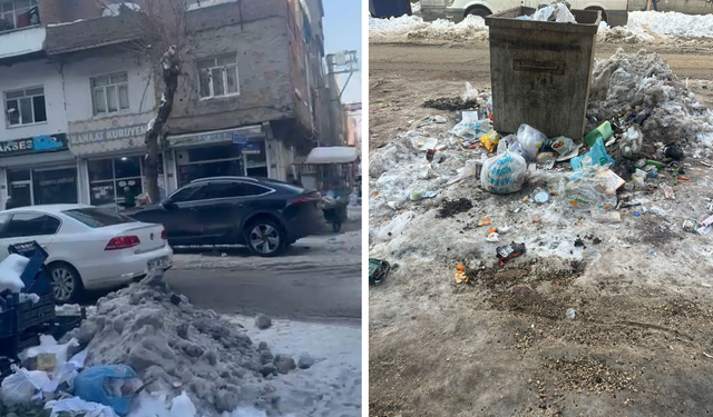Bir mahalle, sıfır konteyner: Diyarbakır’da tepki çeken ihmal