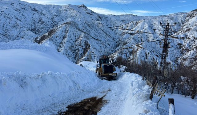 Diyarbakır'da 15 ilçede kırsal mahalle yolları açıldı