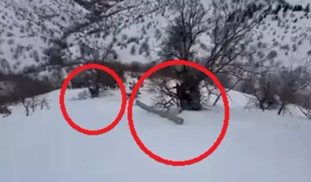 Diyarbakır’da karlı yamaçta tehlikeli anlar: İşçiler elektrik direğiyle sürüklendi