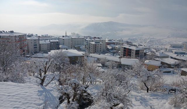 Diyarbakır Kulp’ta kar manzaraları