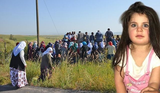 Leyla Aydemir cinayeti davasında yeni perde: Mahkemeden şaşırtan karar