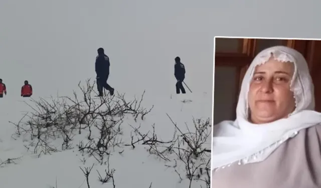 Diyarbakır’da kaybolan 2 çocuk annesinden 9 gündür haber yok