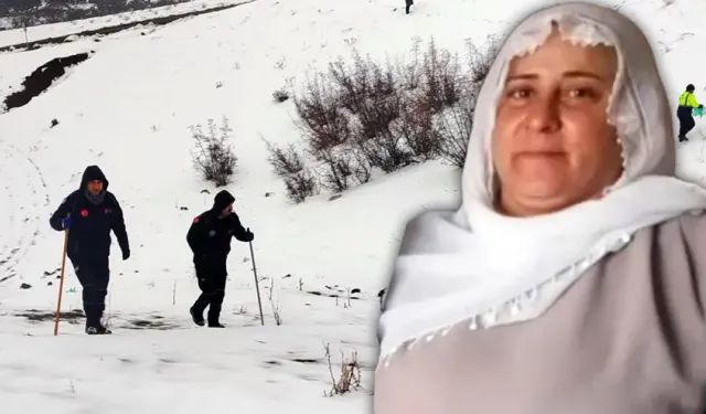 Diyarbakır’da kar ve yağışa rağmen arama sürüyor: Nimet Kılıç’tan hala iz yok