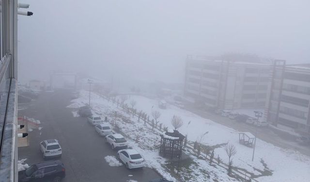 Diyarbakır Kulp’ta sis alarmı: Görüş mesafesi 20 metreye düştü