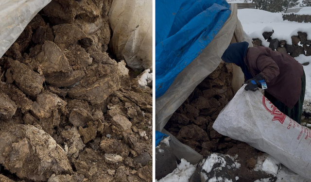 Yüzyıllardır aynı yöntem: Diyarbakır Karacadağ’da tezekle ısınma