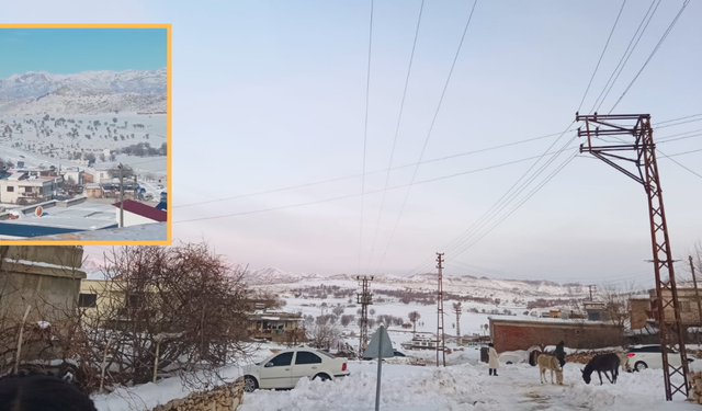 Diyarbakır’da imdat çığlığı: Bu köy 10 gündür kurtarılmayı bekliyor