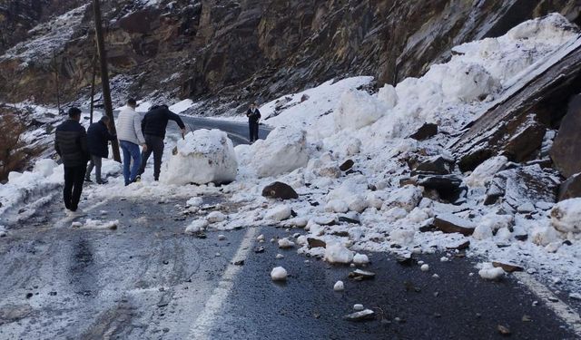 Şırnak’ta düşen çığ yolu kapattı