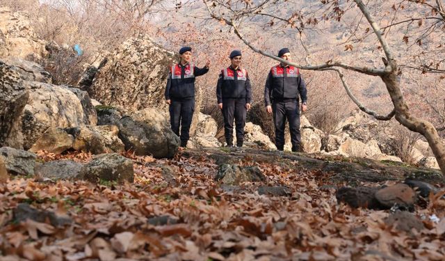 Diyarbakır’da ekolojik denge için seferberlik