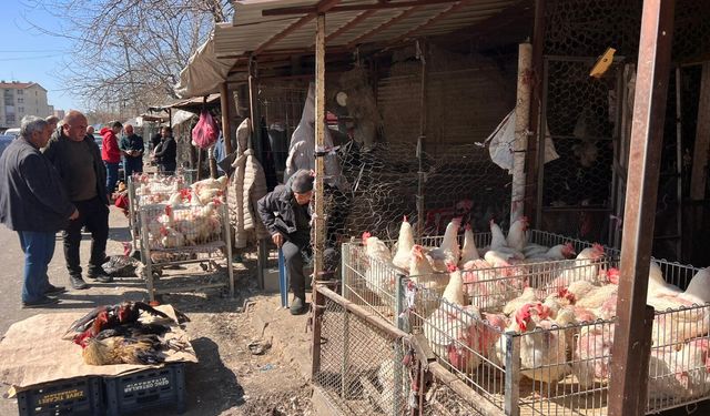 Diyarbakır’daki Kümes hayvan pazarında satışlar arttı ama alım gücü zayıf!