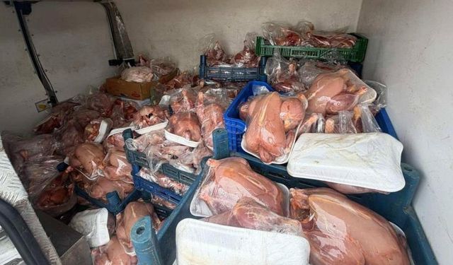 Van'da kaçak tavuklara el konuldu