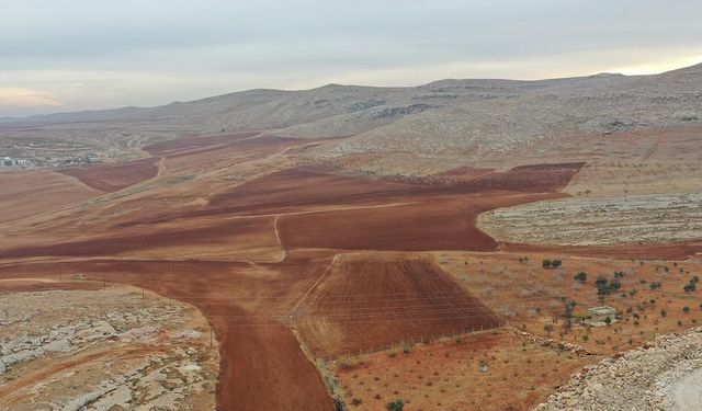 Nadasa bırakılan tarlalar artık boş kalmayacak! Hibe desteği başladı