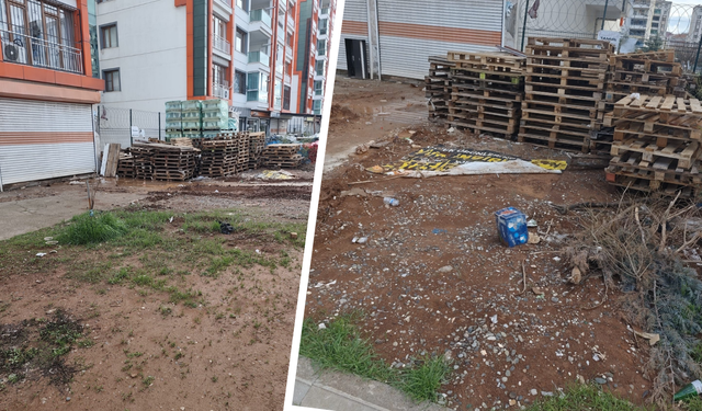 Diyarbakır’da bir siteyi fareler bastı, vatandaşlar isyan etti