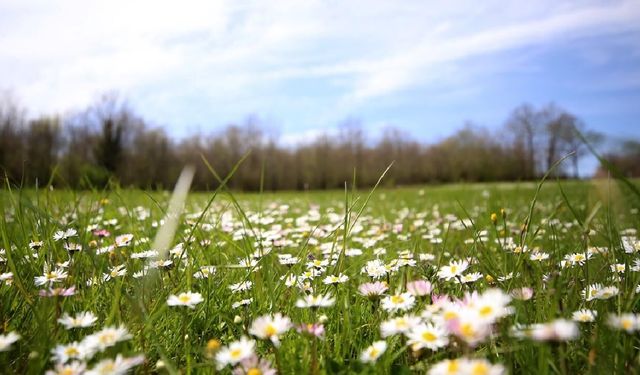 Cemre takvimi tamamlandı: Son cemre toprakla buluştu