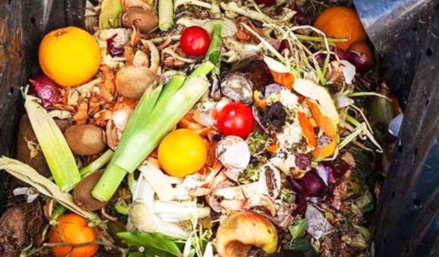 Üretilen gıdanın üçte biri çöpe gidiyor