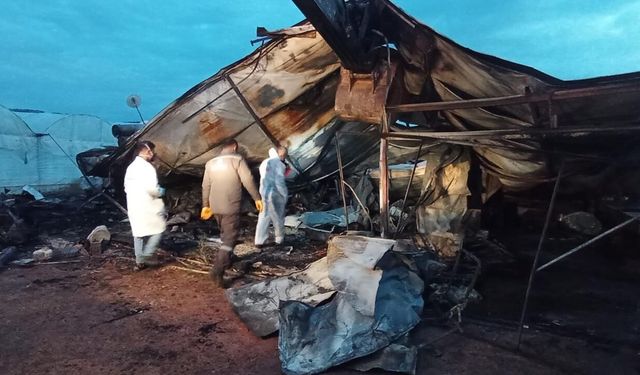 Antalya'da 6 kişinin öldüğü konteyner yangınıyla ilgili yeni gelişme