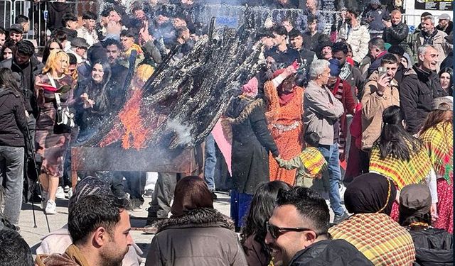 Elazığ’da Newroz coşkusu