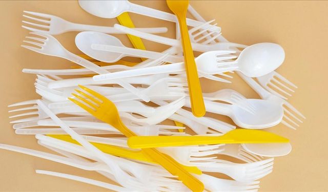 Plastik çatal, tabak ve pipetlere veda: Yeni yasak yolda