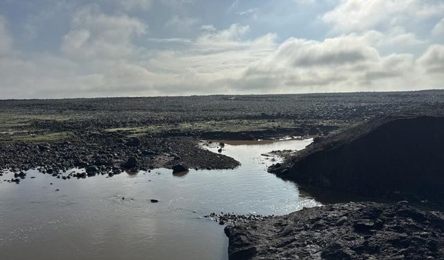 Diyarbakır'da gölet patladı, ekinler sular altında kaldı!