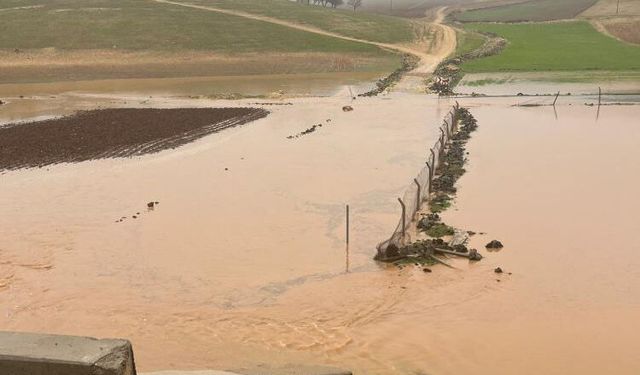 Diyarbakır’da sağanak koyunları telef etti