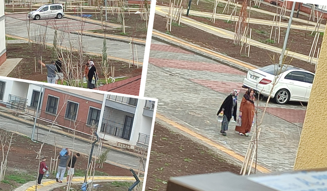 Diyarbakır Bağlar TOKİ’de susuz bayram!