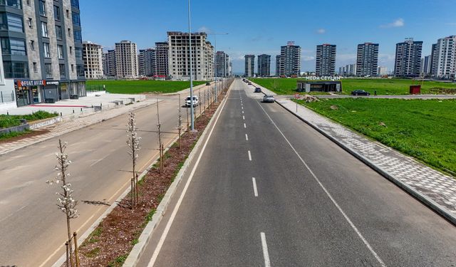 Diyarbakır’da 5 bin ağaç toprakla buluştu