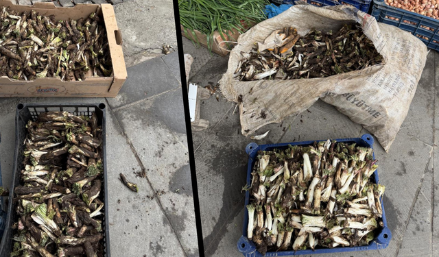 Diyarbakır’da kengerin fiyatı dudak uçuklatıyor