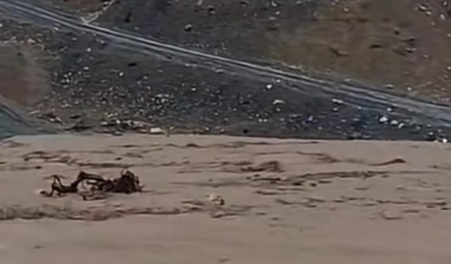 Sağanak yağış Siirt’i vurdu: Köyde hayvancılık durma noktasında