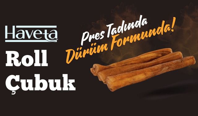 En İyi Yavru Köpek Ödül Maması ve Kurutulmuş Mamalarla Köpek Eğitimi