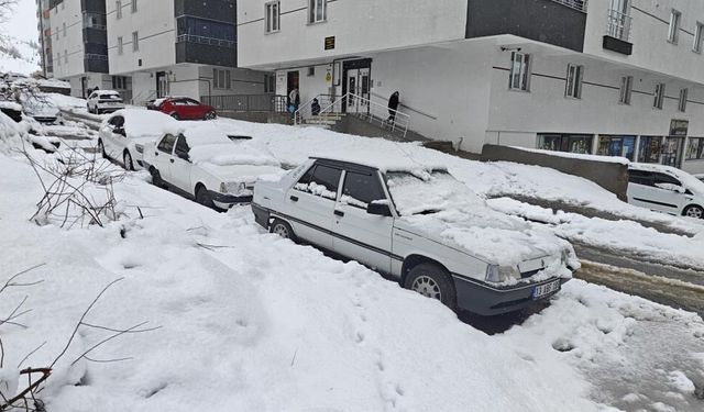Bitlis'te kar 82 köy yolunu kapattı