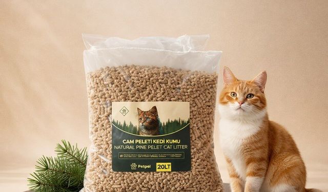 Petpel Çam Peleti Kedi Kumu ile Evde Daha Ferah ve Doğal Bir Kullanım