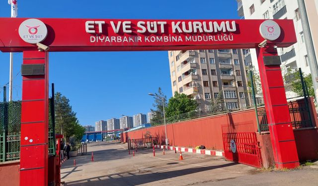 Diyarbakır’da Et ve Süt Kurumu 62 sürekli işçi alacak; işte başvuru şartları