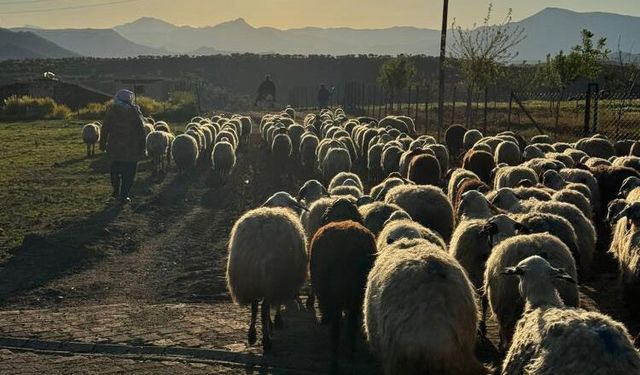 Diyarbakır'da göçerler yollara düştü