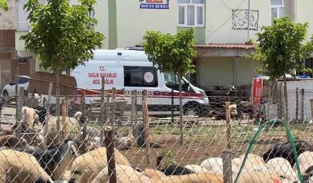 Diyarbakır’da kasaplardan bayram öncesi “acemilik” uyarısı