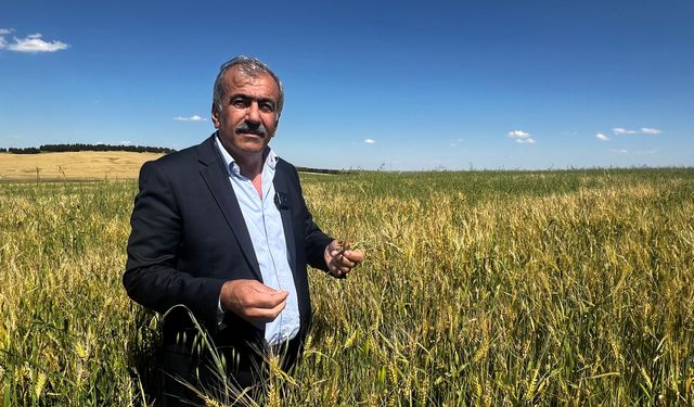 Diyarbakır’da dolu felaketi çiftçiyi vurdu