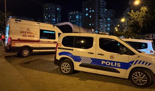 Şanlıurfa'da kanlı kavga: Anne yaşamını yitirdi, oğlu hastanede