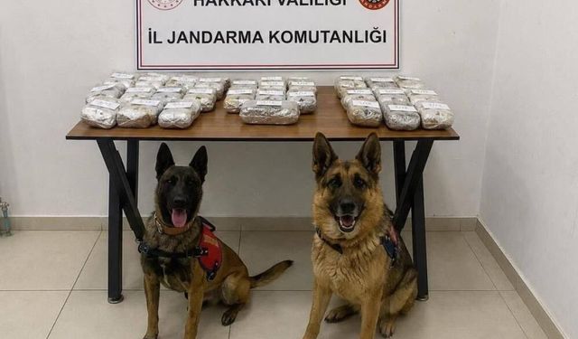 Araç içinde 21 kilo esrarla yakalandılar